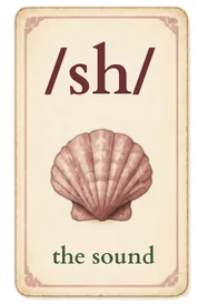 Card: /sh/, the sound